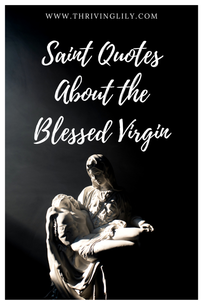 presentation of the blessed virgin mary quotes